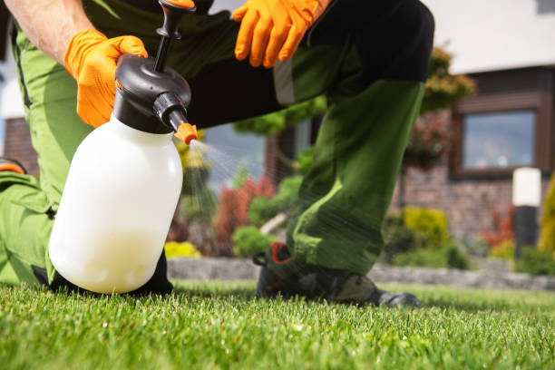 Best Commercial Pest Control Services  in Drexel Hill, PA